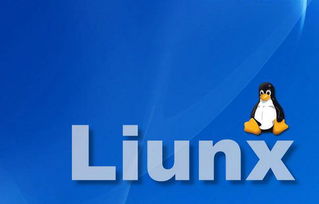 Linux解压与删除文件命令 - 捕风阁